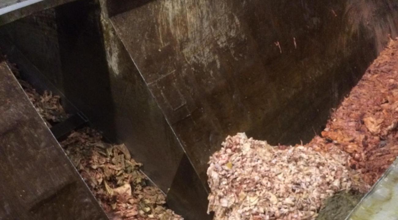 Verwerking slachtafval